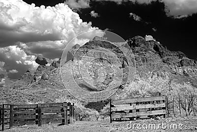 Corral in The Sonora desert