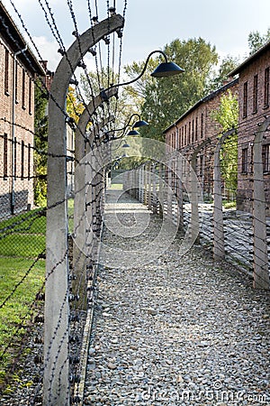 Corridor of electrified barbed-wire fences in Auschwitz II-Birkenau extermination camp