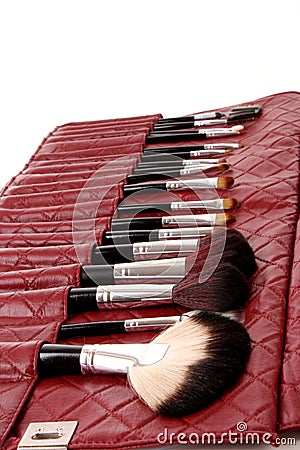 Cosmetic brushes in cosmetics bag