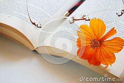 Cosmos flower and book