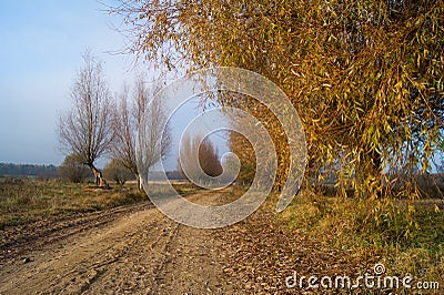 Country, autumn road