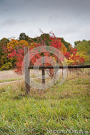 Country fence in autumn