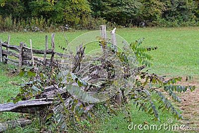 Country Fence made from sheared logs.