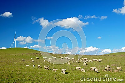 Country Field Stock Photo - Image: 600960