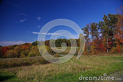 Country Field In The Fall Royalty Free Stock Ph