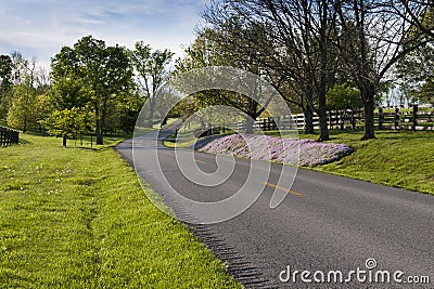 Country road in Kentucky at spring