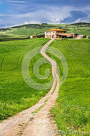 Country road leading to agrotourism