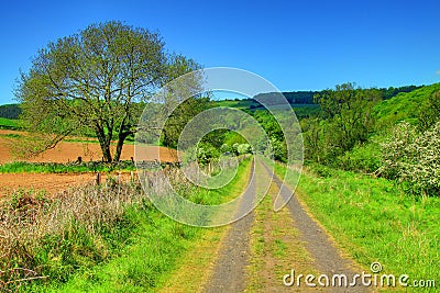 Countryside Trail