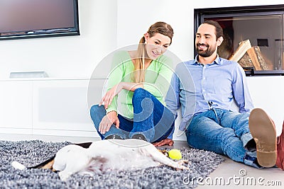 Couple in living room floor playing with dog