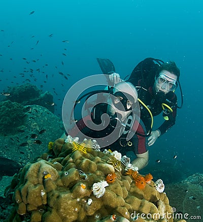 Couple scuba diving