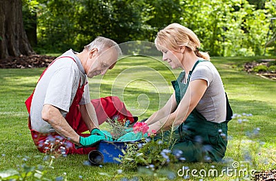 Couple spends his free time working in the garden