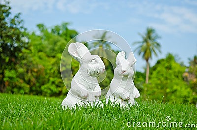 Couple of white rabbit