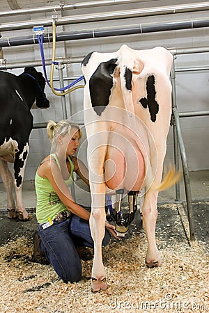 cow-milking-facility-20602330.jpg