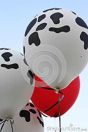 Cow Print Balloons