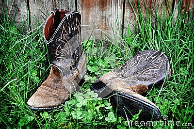 Cowboy Boots (12_831)