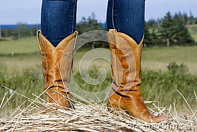 Cowboy Boots