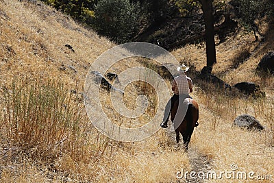 A cowboy riding on his horse down a canyon.