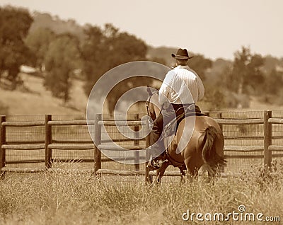 A cowboy riding his horse in a meadow.