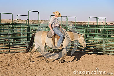 Cowboy riding horse