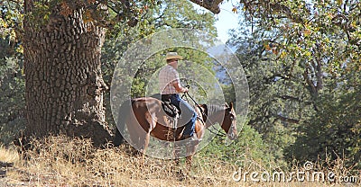 A cowboy riding a horse.