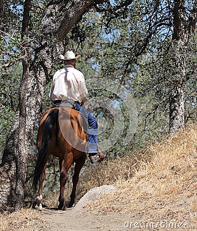 A cowboy riding in a mountain trail with oak trees.