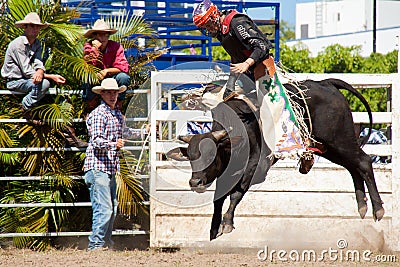 Cowboy s riding dangerous bull on rodeo
