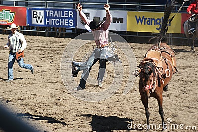 Cowboy thrown from bucking horse