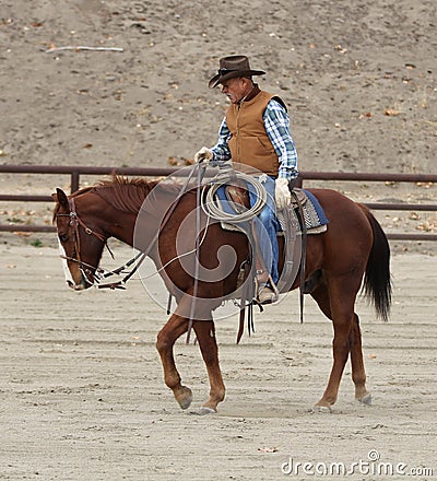 Cowboy training a horse II.