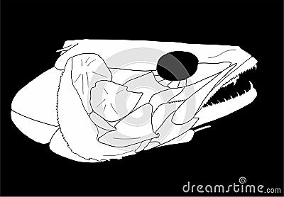 cr%C3%A2ne-de-poissons-18245186.jpg