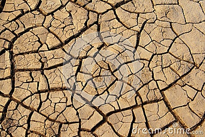 Cracked dry mud