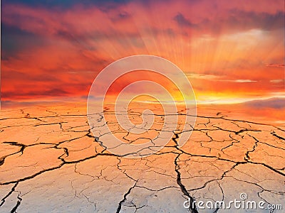 Cracked earth on sunset.