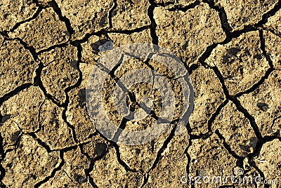 Cracked earth texture background