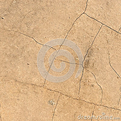 Cracked earth texture