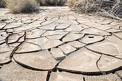 Cracked Mud Flats