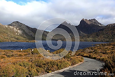 cradle snow mountain australia tasmania