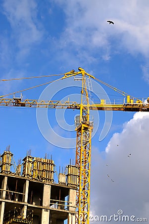 Crane with birds