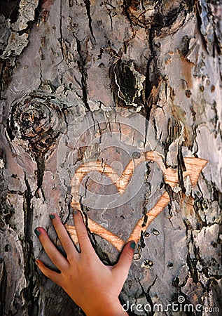 Craving lost love - Carved heart in tree bark