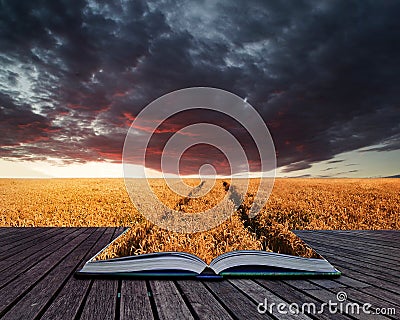 Creative concept pages of book Stunning wheatfield landscape Sum