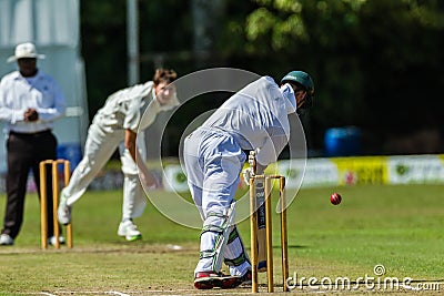 Cricket Action Sport