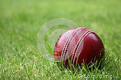 Cricket Ball