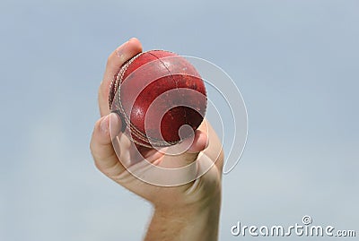 Cricket Ball