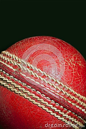 Cricket Ball