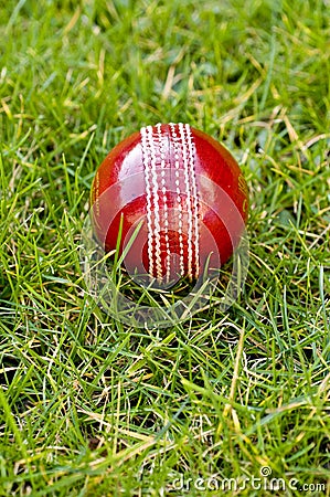 Cricket ball