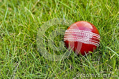 Cricket ball