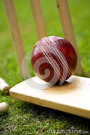 Cricket ball bat & stumps