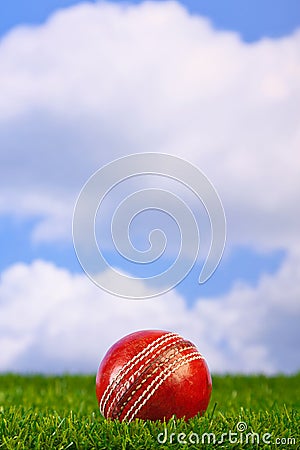 Cricket ball on grass