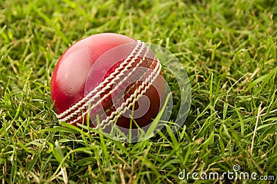 Cricket ball on grass