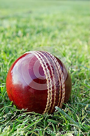 Cricket ball on green grass.