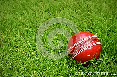 Cricket ball on green grass pitch