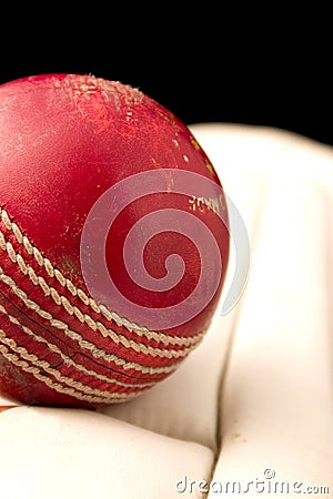 Cricket Ball and pads